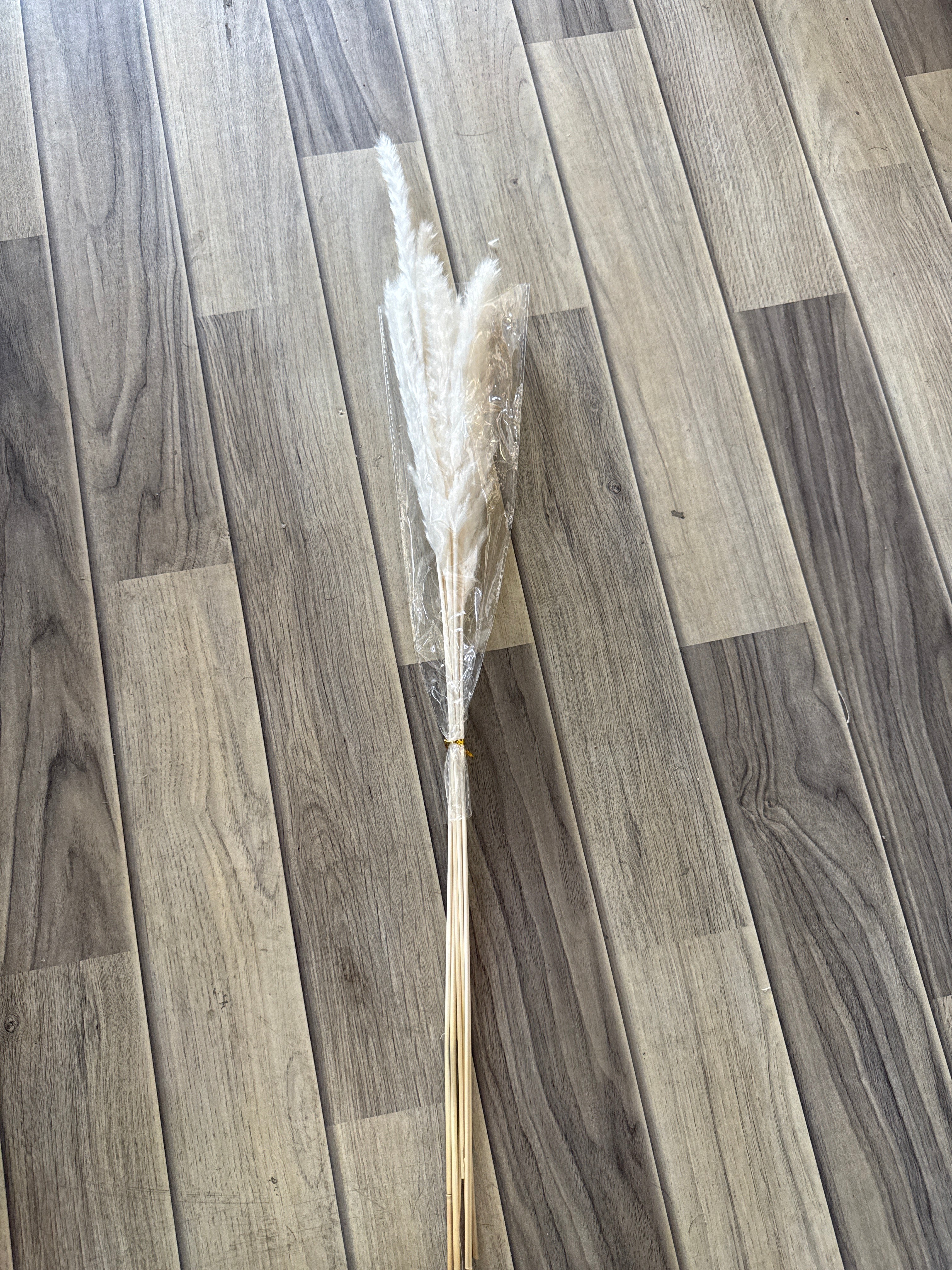 Bleached White Pampas