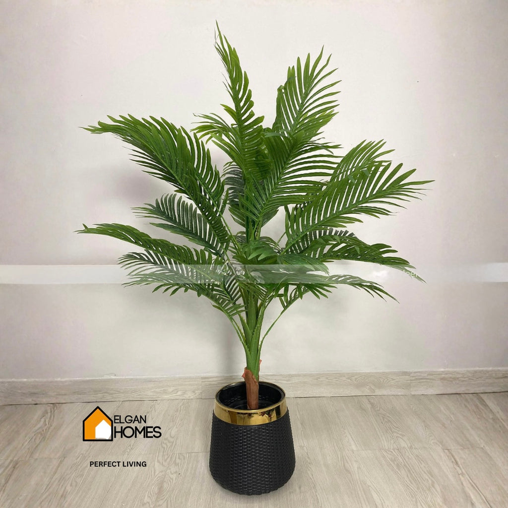Palm arika Tree With White Pot