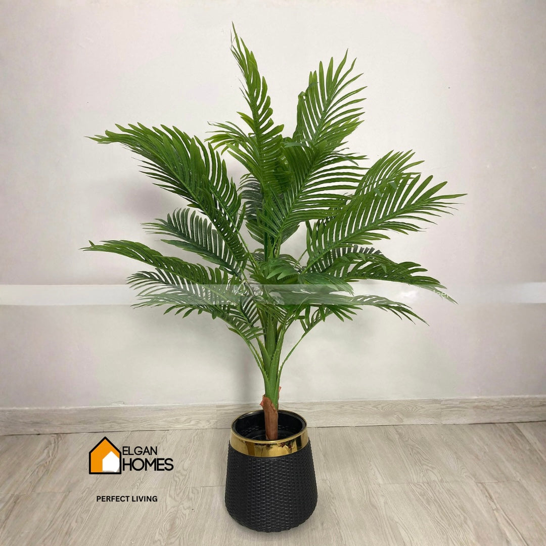 Palm arika Tree With White Pot