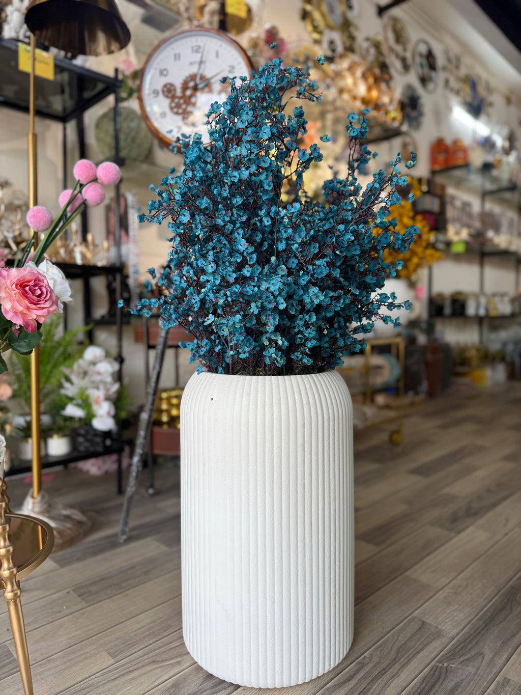 Shocking Blue Bloosom Plant with Imported White Fibre Pot