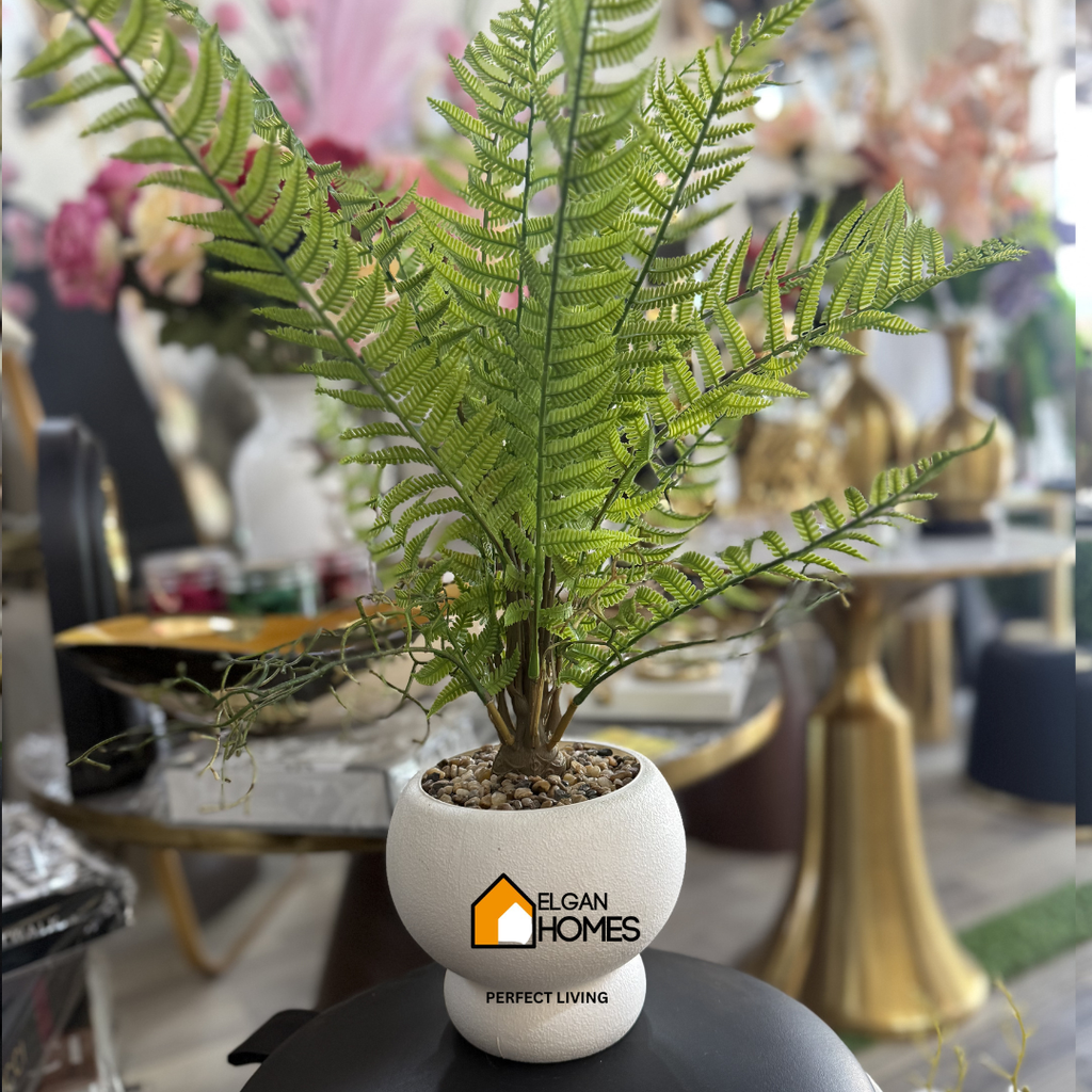 Imported Green Palma pot For tables and Washroom