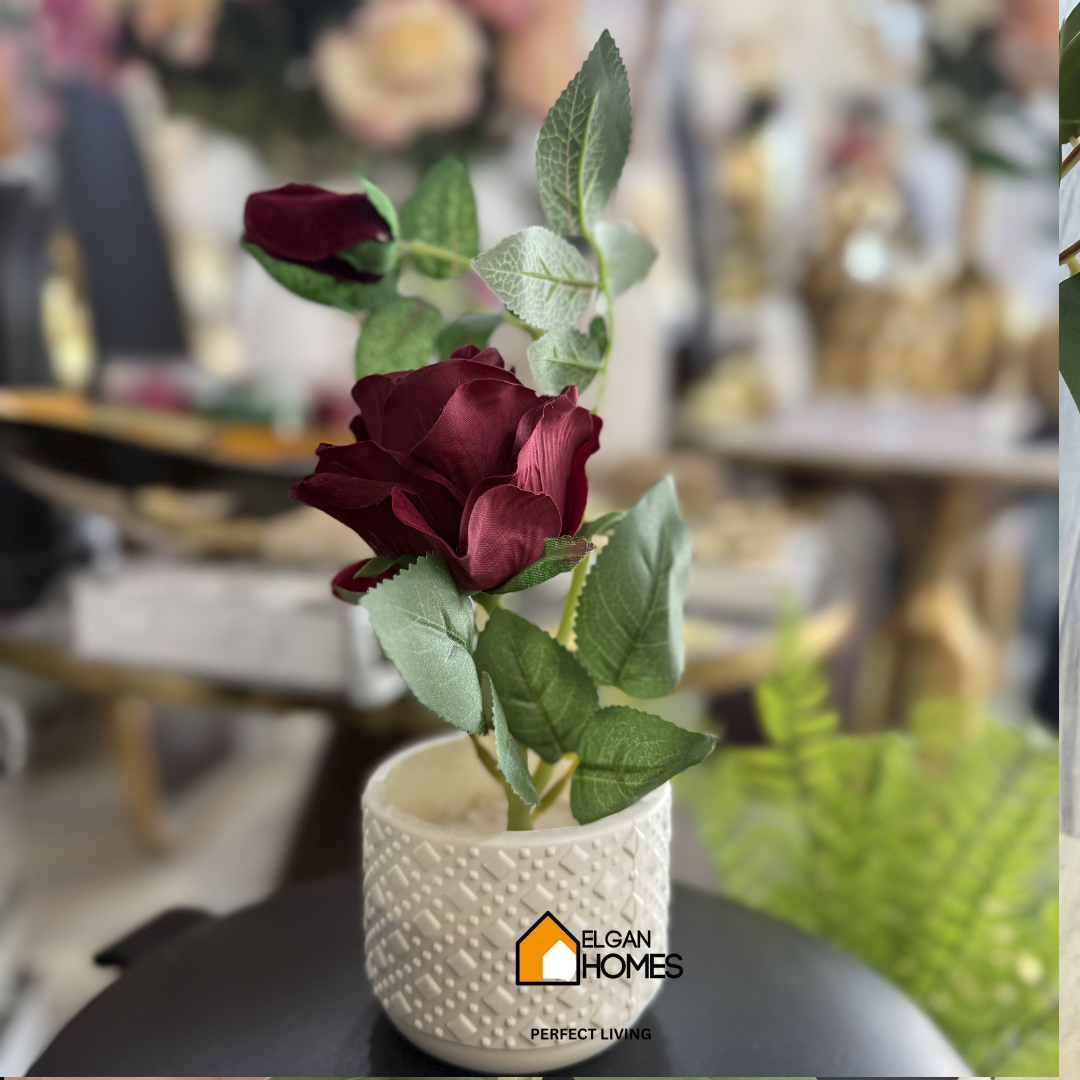 Red Rose Table Plant