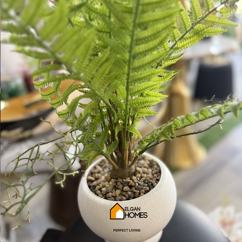 Imported Green Palma pot For tables and Washroom
