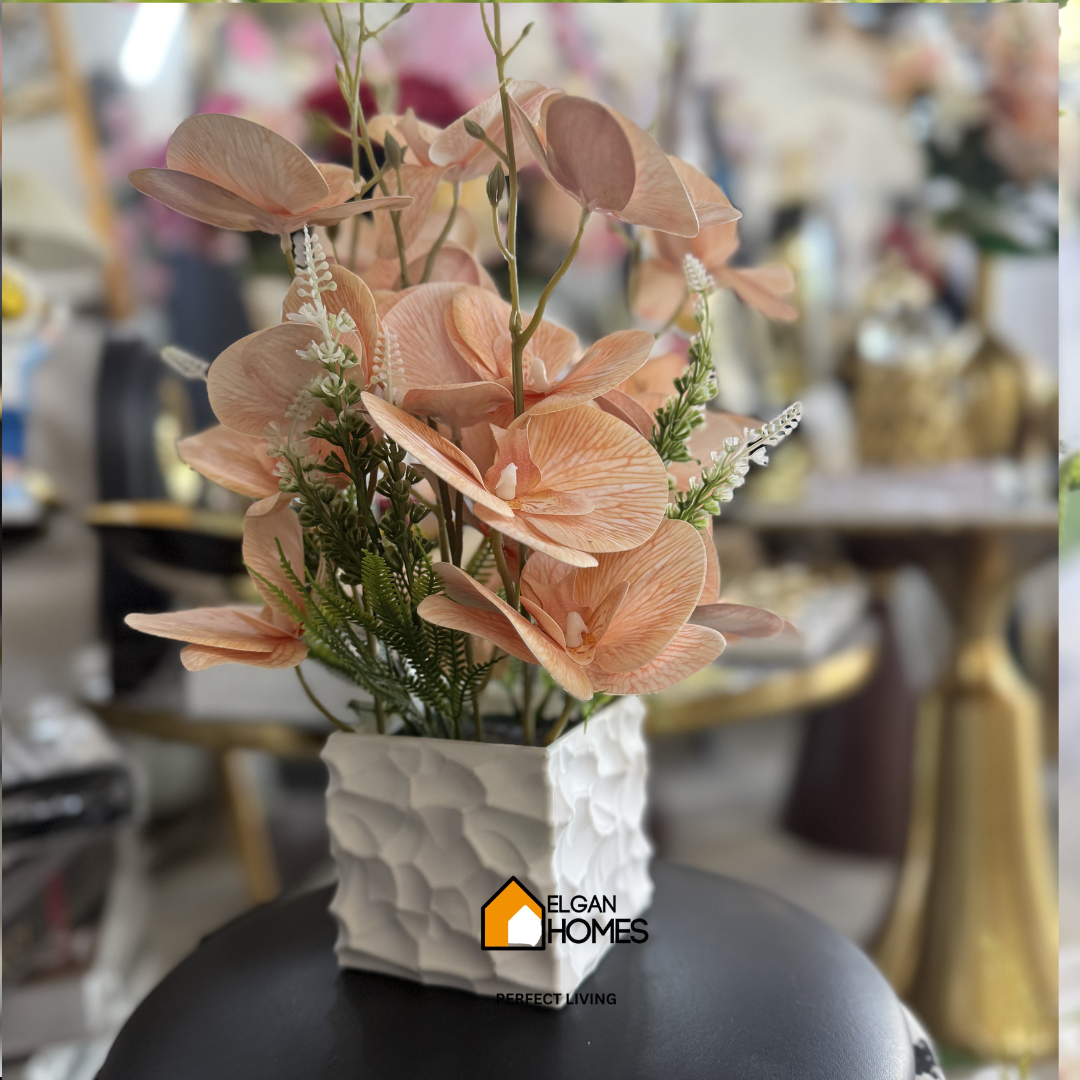 Orchid Flower Pot Imported
