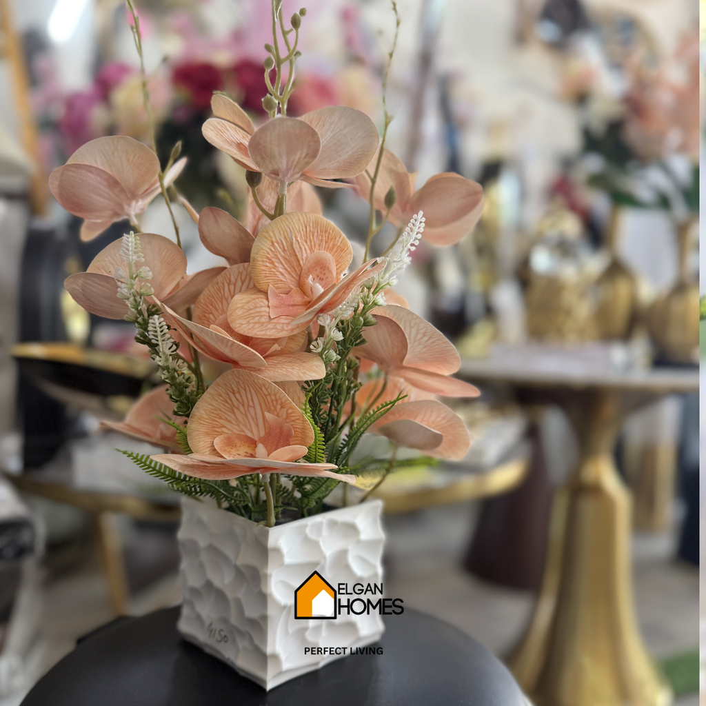 Orchid Flower Pot Imported