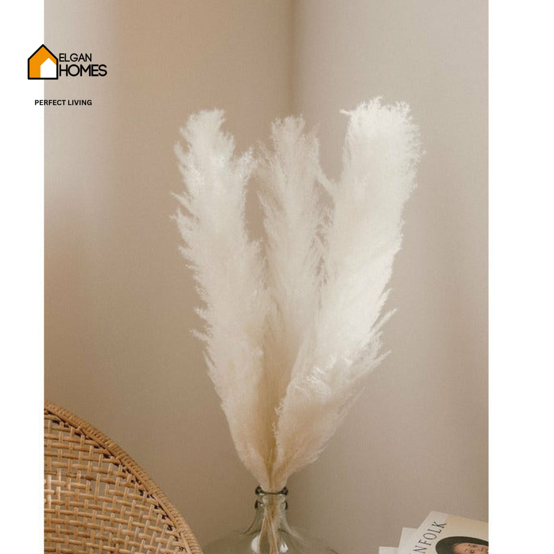 Bleached White Pampas