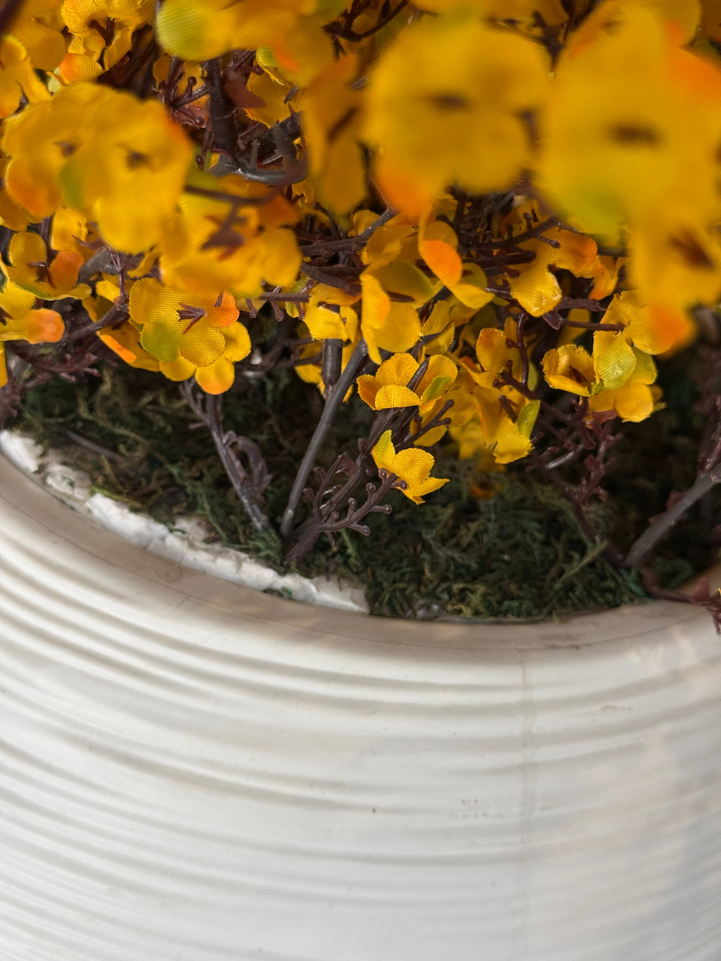 Imported Yellow Blossom 🌼 With White Imported Pot Fitted