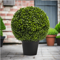 Artificial Pittosporum Topiary Ball