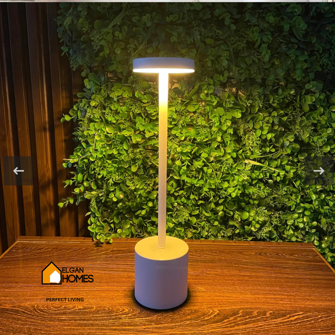 Desk Led Lamp