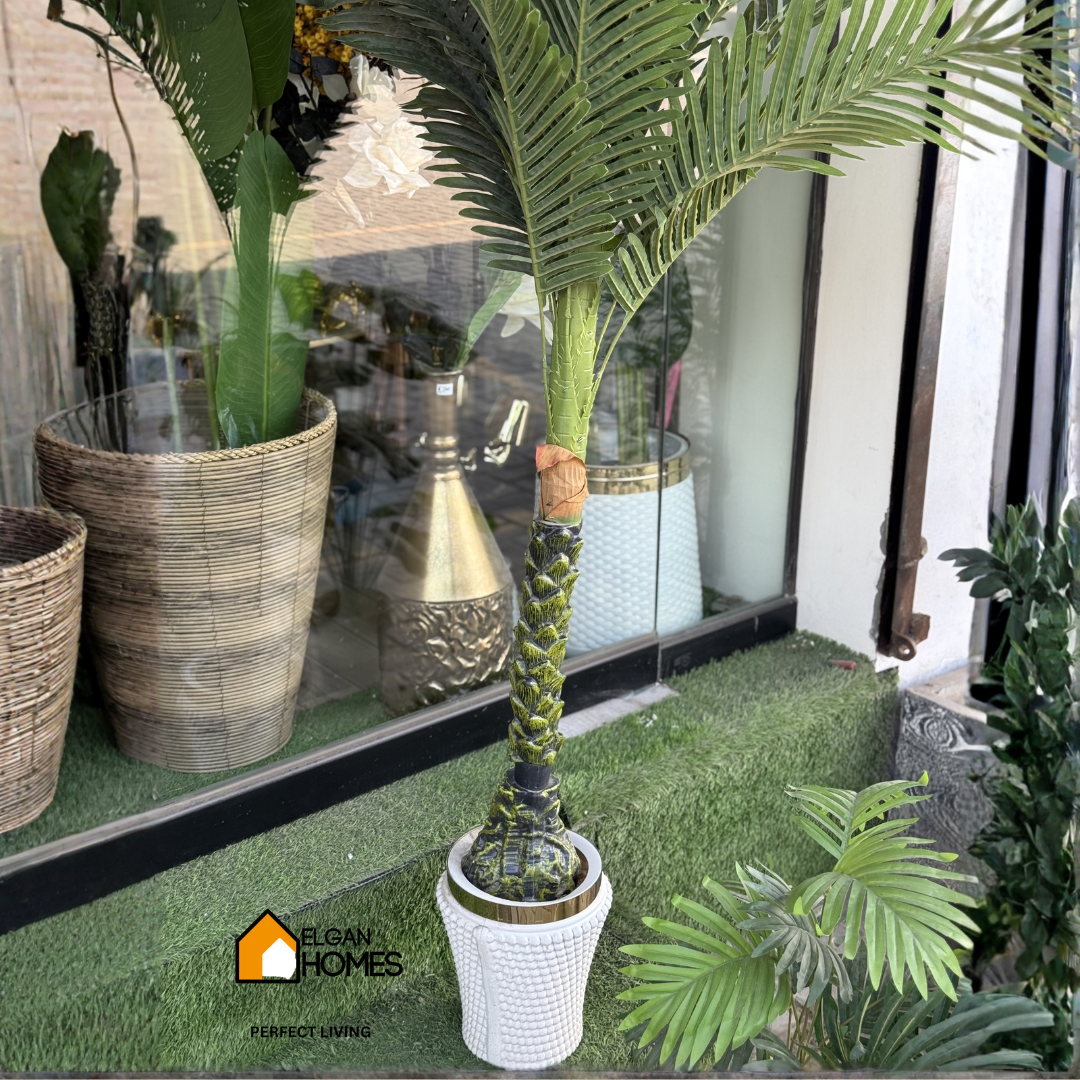 Palm arika Tree With White Pot
