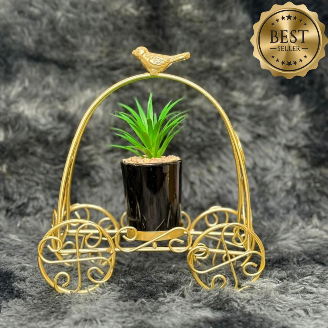 Sparrow cage cactus planter